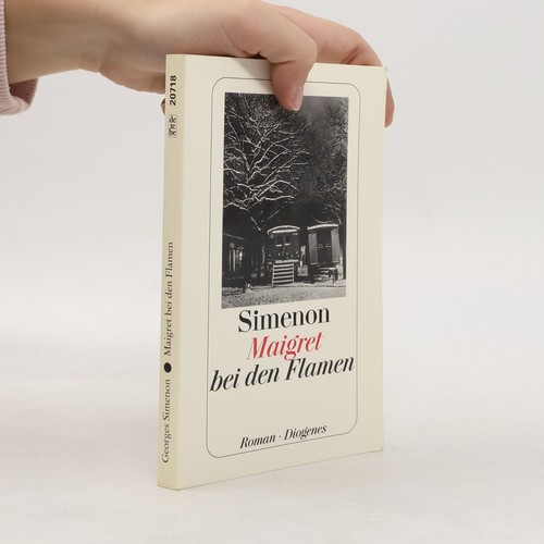 Maigret bei den - , flamen 